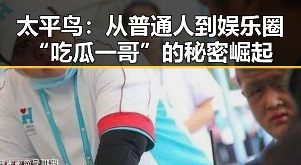 太平鸟：从普通人到娱乐圈“吃瓜一哥”的秘密崛起