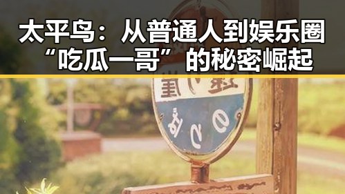 太平鸟:从普通人到娱乐圈“吃瓜一哥”的秘密崛起